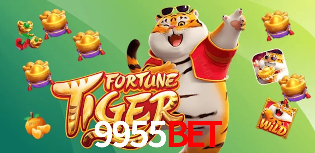 Experiência VIP 9955bet